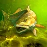 Icono de My Fishing World